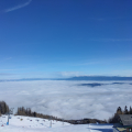 IMG20250213110214