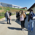 IMG_20250403_114106